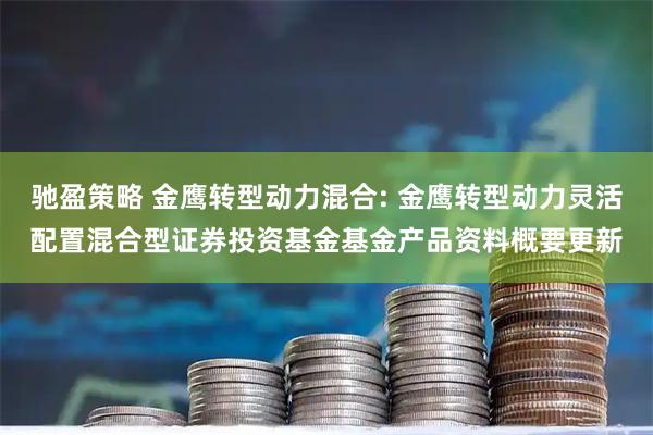 驰盈策略 金鹰转型动力混合: 金鹰转型动力灵活配置混合型证券投资基金基金产品资料概要更新