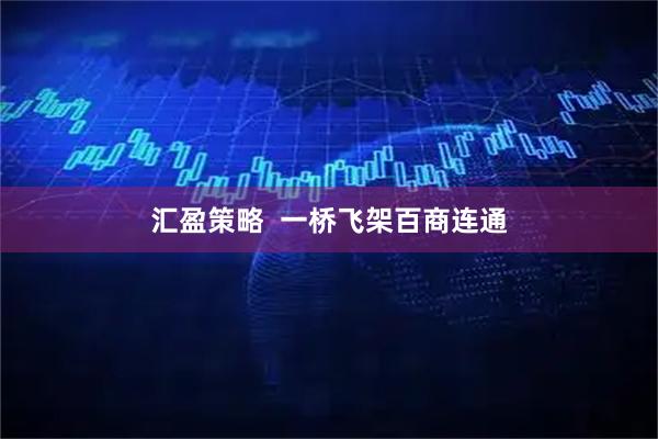 汇盈策略  一桥飞架百商连通