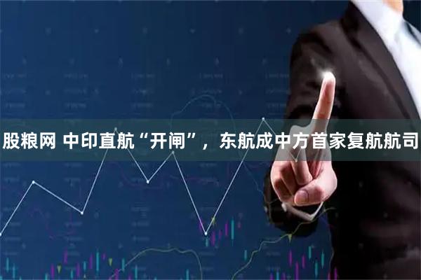 股粮网 中印直航“开闸”，东航成中方首家复航航司