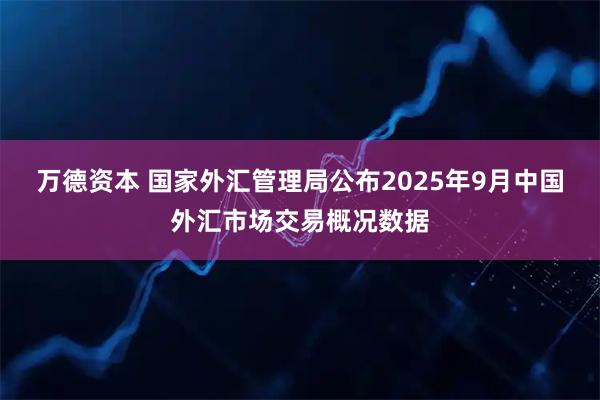 万德资本 国家外汇管理局公布2025年9月中国外汇市场交易概况数据